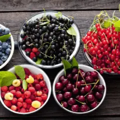 Cathoracicinfsysgroupinc